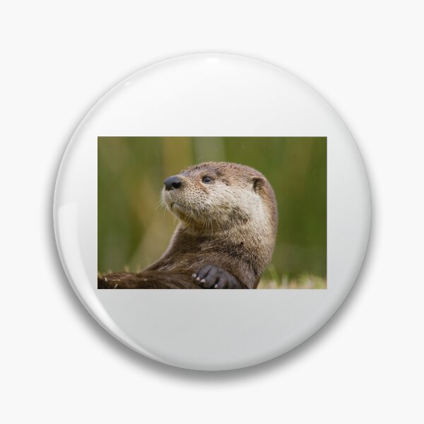 Item preview, This is the Loveliest and cutest ' otter ' wildlife  designed and sold by Harshly.