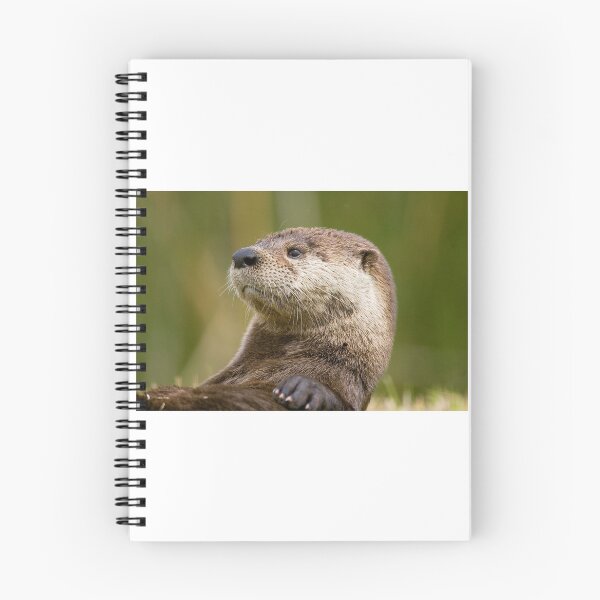 Item preview, This is the Loveliest and cutest ' otter ' wildlife  designed and sold by Harshly.