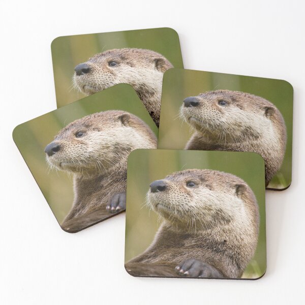 Item preview, This is the Loveliest and cutest ' otter ' wildlife  designed and sold by Harshly.