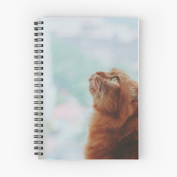 Item preview, Cute Cat Looking At The Sky designed and sold by Columodwyer.