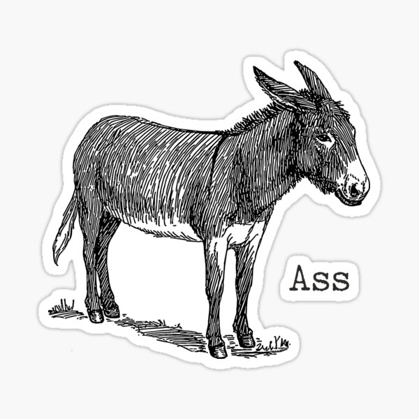 Ass Sticker For Sale By Goatboyjr Redbubble 9604