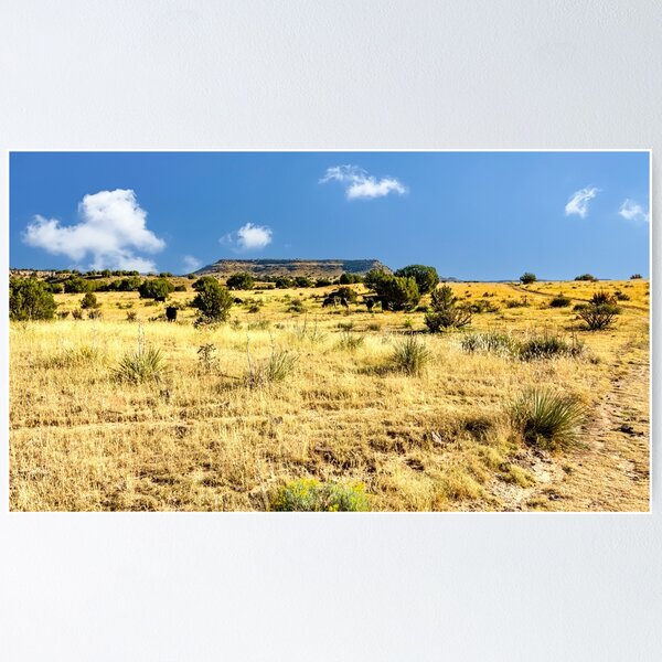 Aperçu de l'œuvre No Man's Land - Oklahoma Panhandle - Black Mesa créée et vendue par Debra Martz.