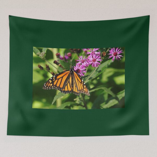 Item preview, Monarch On Asters designed and sold by Debbie Oppermann.