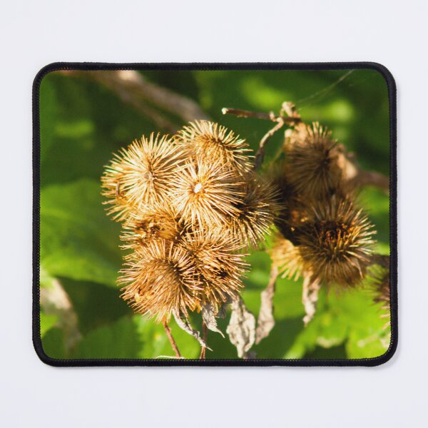 Item preview, Stickleburr burdock designed and sold by Francespoppy.