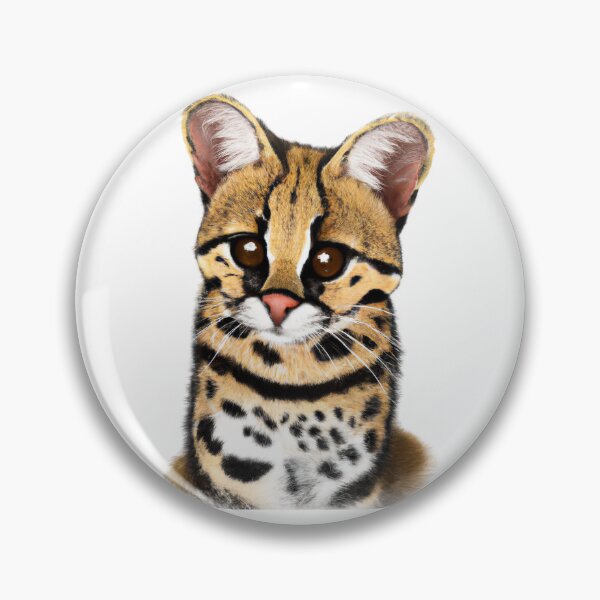 Artikelvorschau, Cute Margay Drawing entworfen und verkauft von WeHeartAnimals.