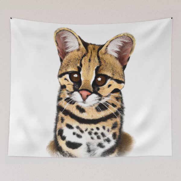 Item preview, Cute Margay Drawing designed and sold by WeHeartAnimals.