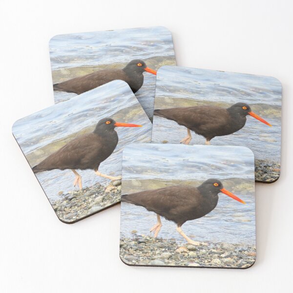 Item preview, American Black Oystercatcher designed and sold by TCW Studios.