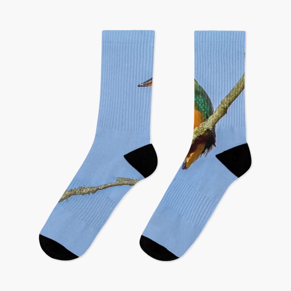 Item preview, KingFisher (F) designed and sold by Darren Wilkes.