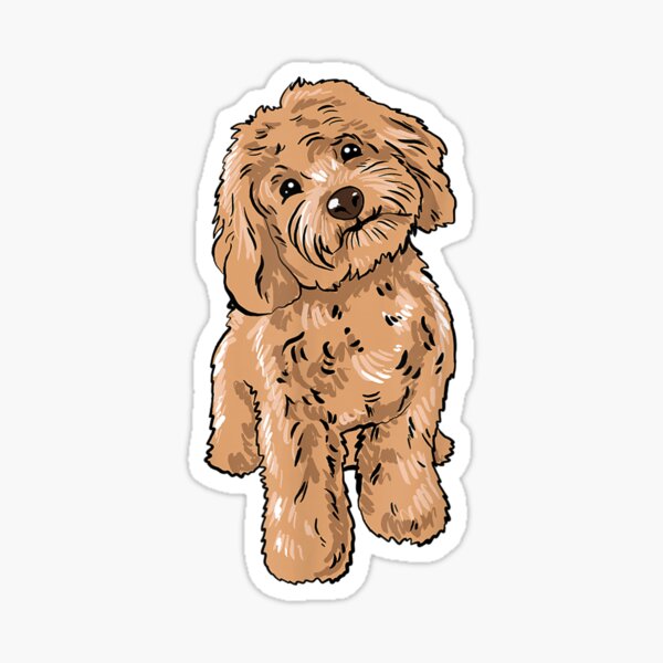 Cavapoo Cavalier King Charles and Poodle dog Cavadoodle Cavoodle Sticker