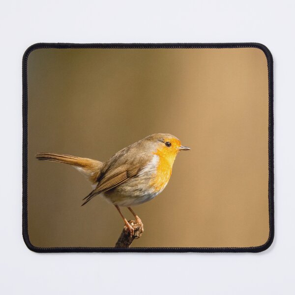 Item preview, European Robin designed and sold by Darren Wilkes.