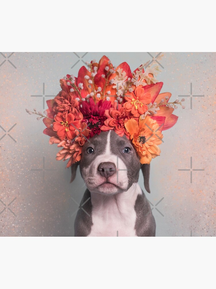 Flower Power, Davy Jones by SophieGamand