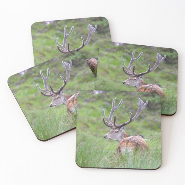 Item preview, Callum the Stag designed and sold by AmyPhotographer.