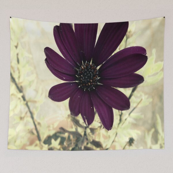 Item preview, african daisy autumnal designed and sold by by-jwp.