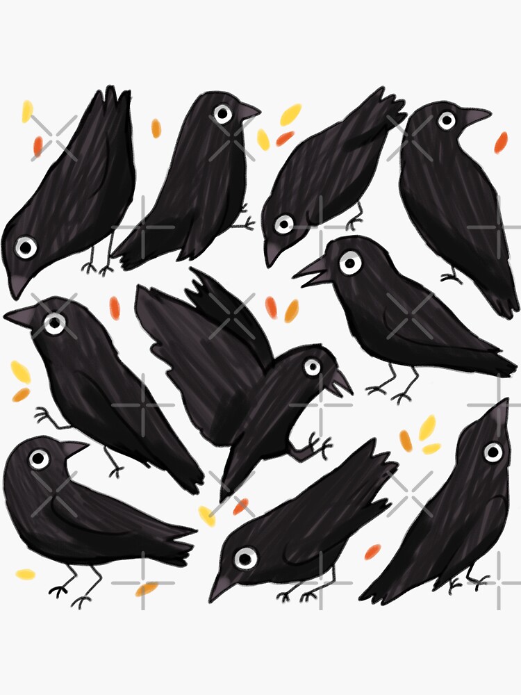 Crow Drawing Reference and Sketches for Artists