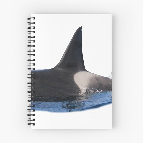 Item preview, Orca, wild and free  designed and sold by Ida Eriksson.