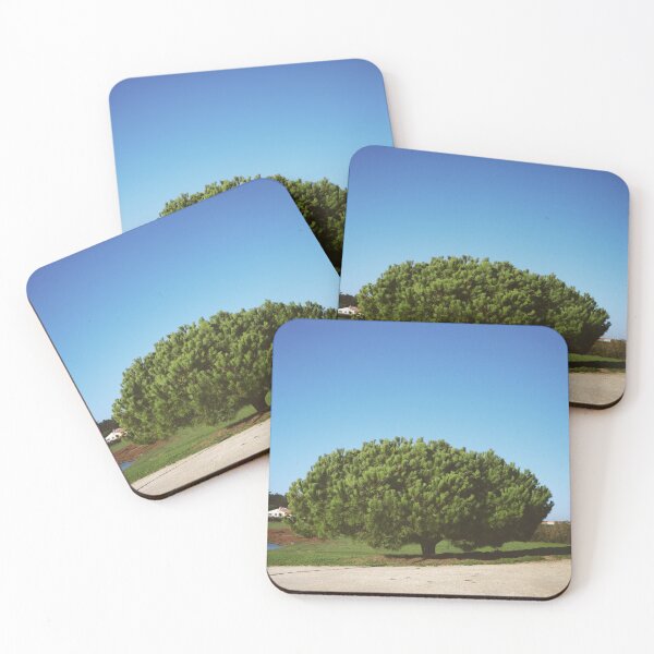 Item preview, The Umbrella Pine - Ile d Oléron - Excursion designed and sold by minneyael.
