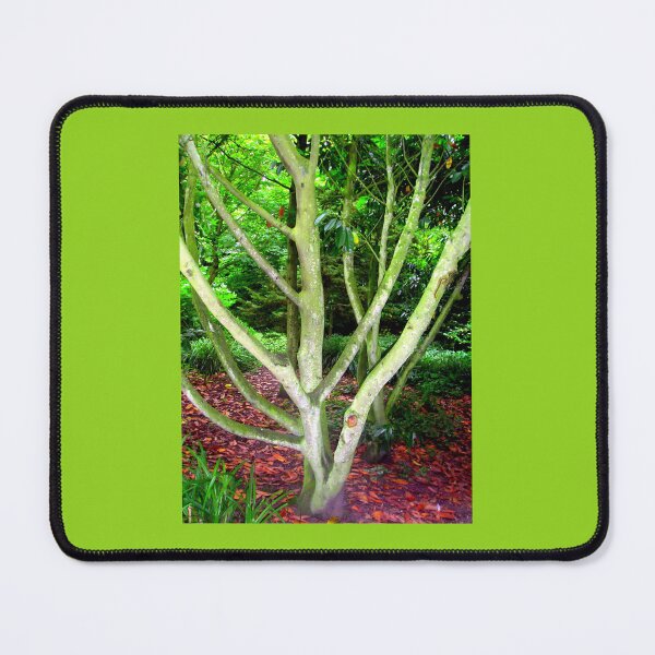 Item preview, Tree With Boosted Colour designed and sold by Beatrice Roberts.