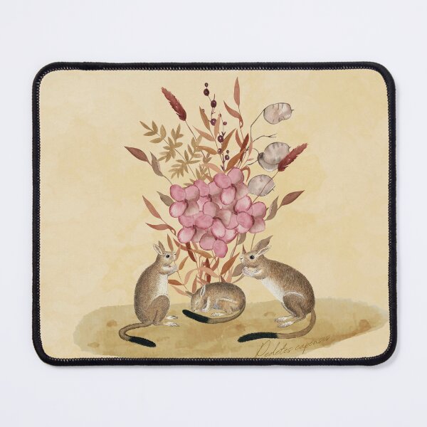 Item preview, South African springhare (Pedetes capensis) designed and sold by musicora.