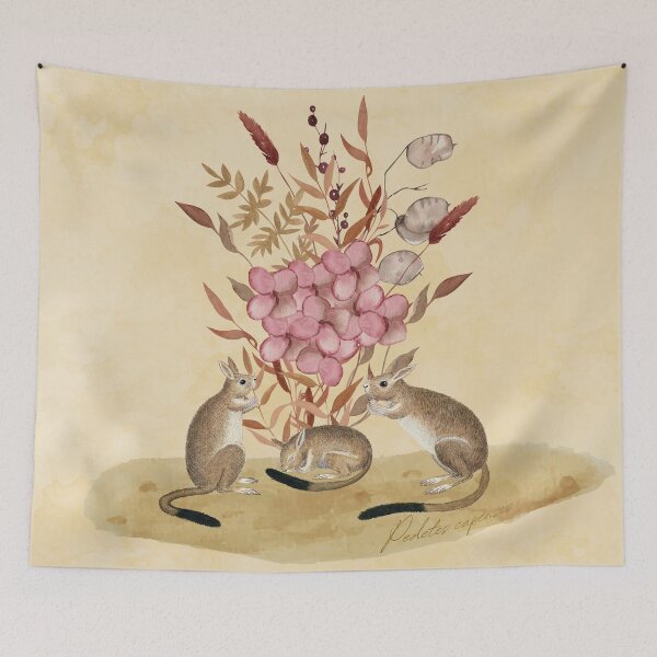 Item preview, South African springhare (Pedetes capensis) designed and sold by musicora.