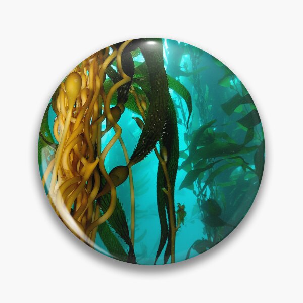 Item preview, Kelp Forest designed and sold by CaptJohnny.
