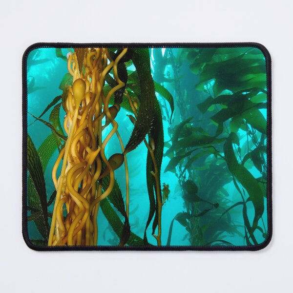 Item preview, Kelp Forest designed and sold by CaptJohnny.