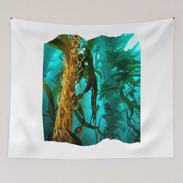 Item preview, Kelp Forest designed and sold by CaptJohnny.