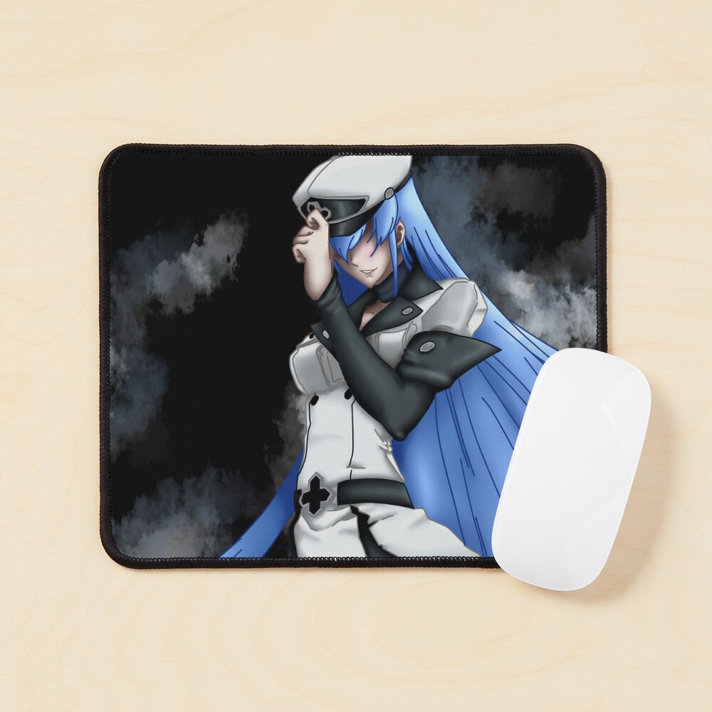 Esdeath  Akame Ga Kill, an art print by Kai Ilmardi - INPRNT