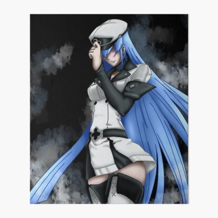 Esdeath  Akame Ga Kill, an art print by Kai Ilmardi - INPRNT