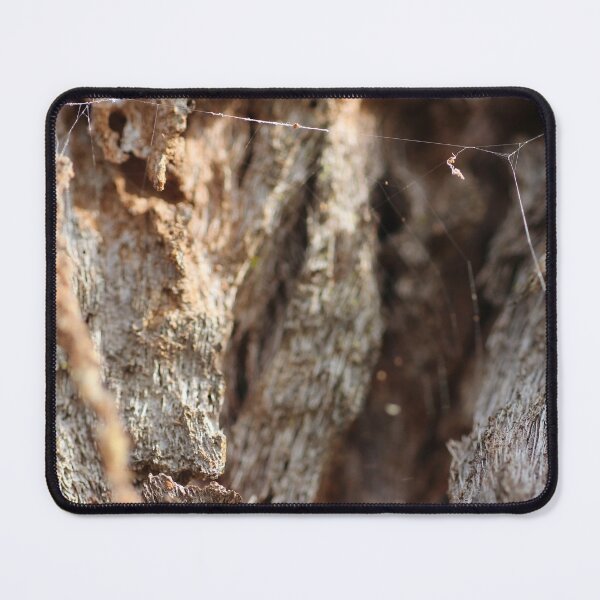 Item preview, spider web designed and sold by Jodie Cooper.