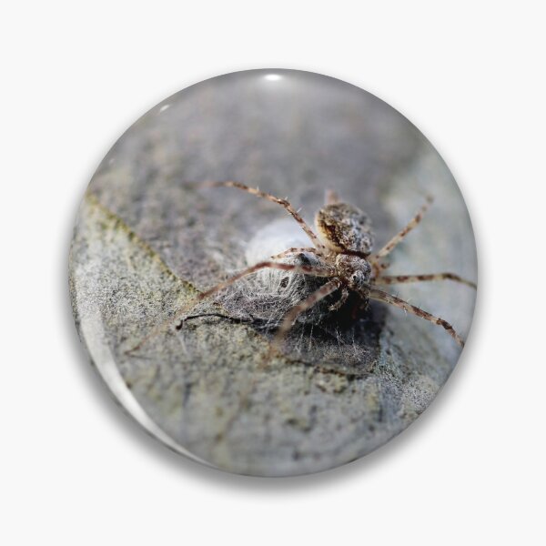 Item preview, spider  designed and sold by Jodie Cooper.