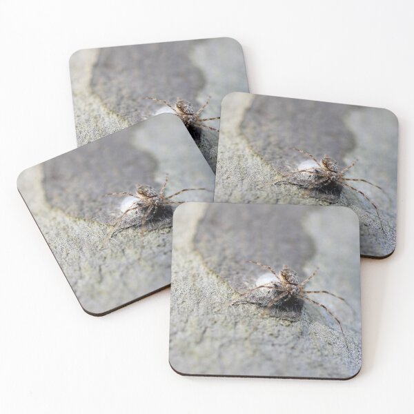 Item preview, spider  designed and sold by Jodie Cooper.