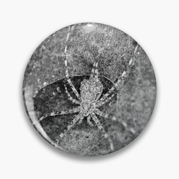 Item preview, spider  designed and sold by Jodie Cooper.