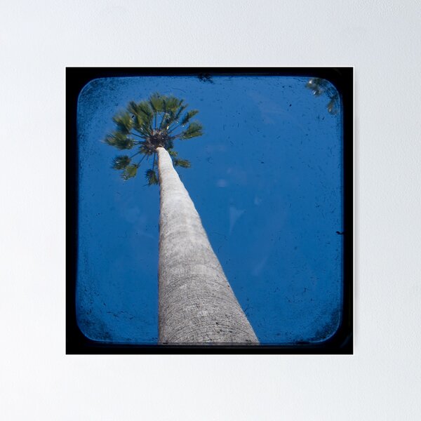 Item preview, Thing Found on A Tropical Island designed and sold by ADMarshall.