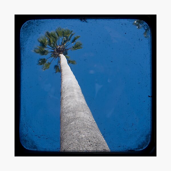 Item preview, Thing Found on A Tropical Island designed and sold by ADMarshall.