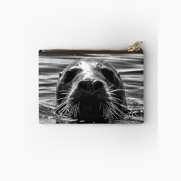 Item preview, Seal in the Iroise Sea designed and sold by Jean-Luc Rollier.