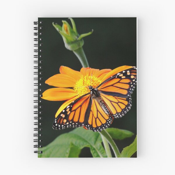 Item preview, Monarch Butterfly On Mexican Sunflower designed and sold by Debbie Oppermann.