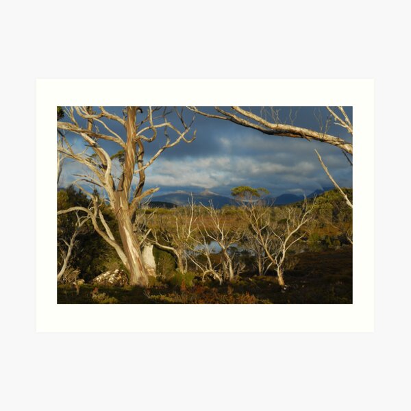 Lake Windermere, Overland Track, Tasmania Art Print