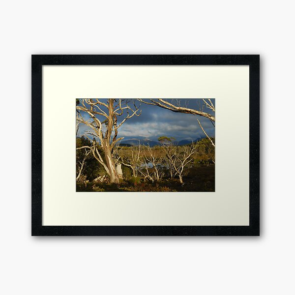 Lake Windermere, Overland Track, Tasmania Framed Art Print