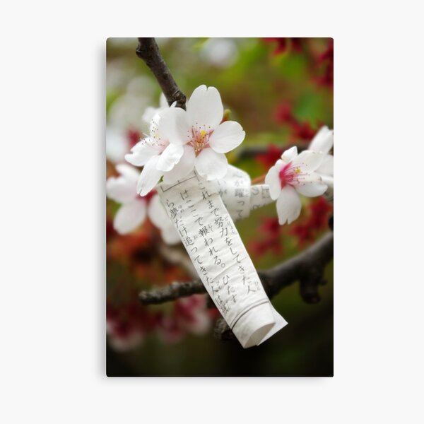 Bad fortune, new hope Canvas Print