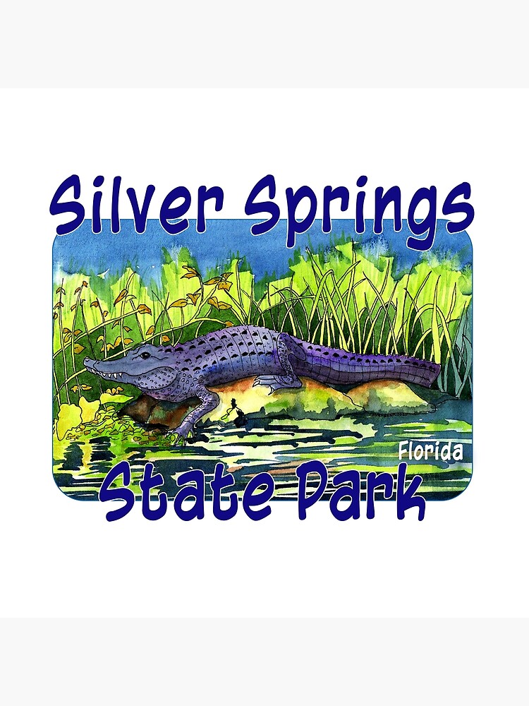 "Silver Springs State Park, Florida" Poster for Sale by margaretbucklew