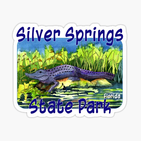 Item preview, Silver Springs State Park, Florida designed and sold by MMc Buck.