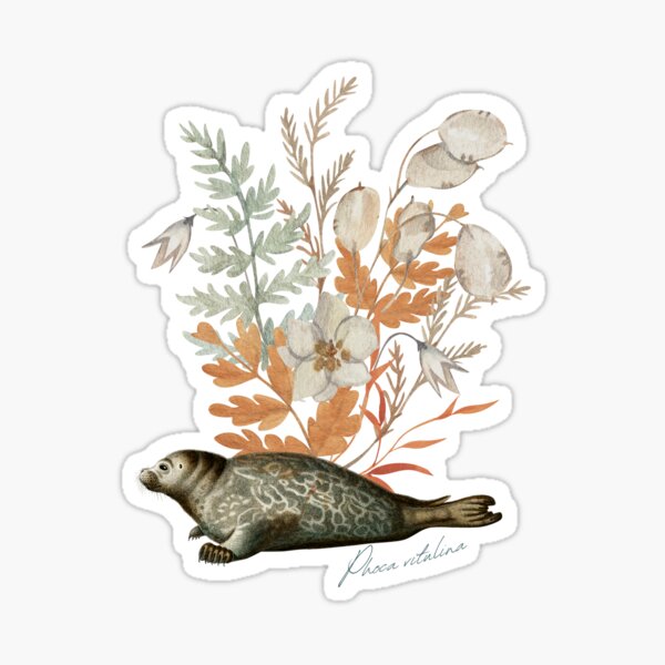 Item preview, Harbor seal (Phoca vitulina) designed and sold by musicora.