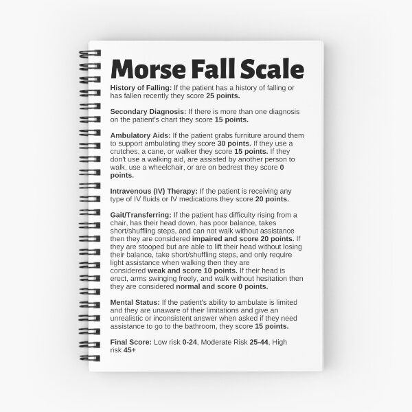 Item preview, Morse Fall Scale Chart designed and sold by Caregiverology.