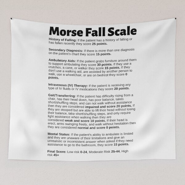 Item preview, Morse Fall Scale Chart designed and sold by Caregiverology.