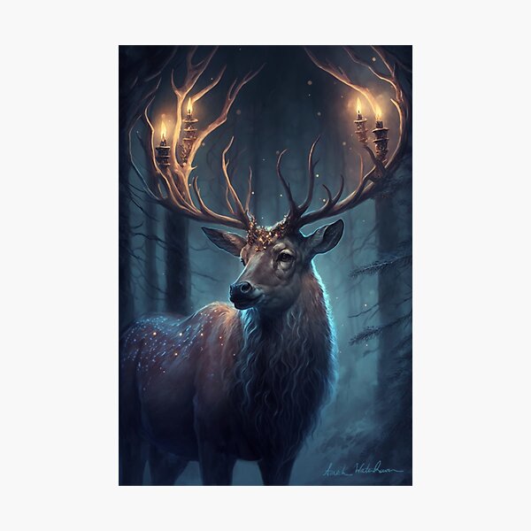 Winter Forest Lord Photographic Print