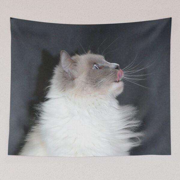 Item preview, Is it dinner time yet? designed and sold by lizdomett.