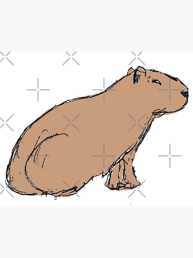 capybara by E-a-s-y on DeviantArt  Animal illustration, Capybara, Cute  animal drawings