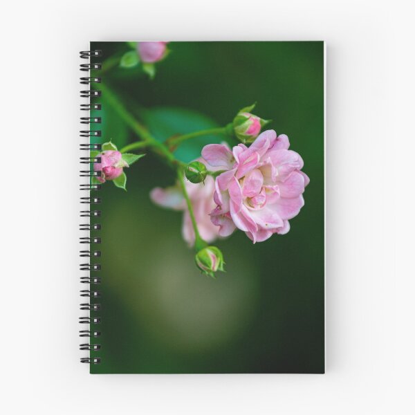 Item preview, flower posters art prints t-shirts phone cases mugs etc designed and sold by craigewmcg123.