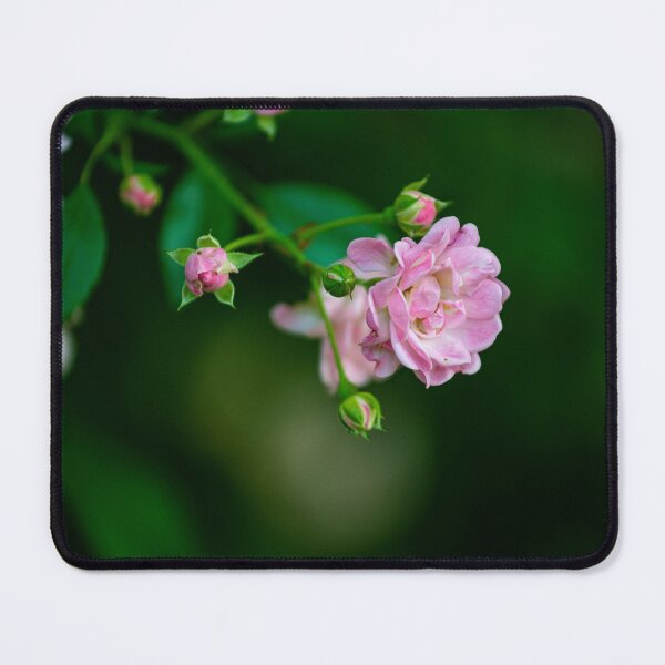 Item preview, flower posters art prints t-shirts phone cases mugs etc designed and sold by craigewmcg123.