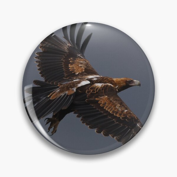 Item preview, Wedge-tailed eagle  designed and sold by scar.
